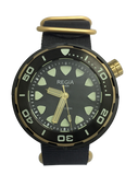 Regia Diver 2018 - Black dial (Gold) (free shipping)