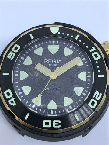 Custom made Regia Diver patina and aged dial - Black dial (free shipping) (1 piece only)