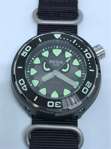 Regia Diver 2018 - NEW Angry Eye Grey sunburst dial (Silver) (free shipping)